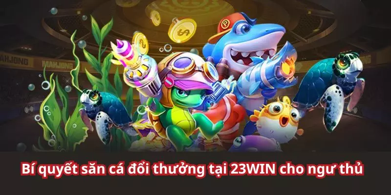 Tuyệt chiêu săn cá từ cao thủ hàng đầu